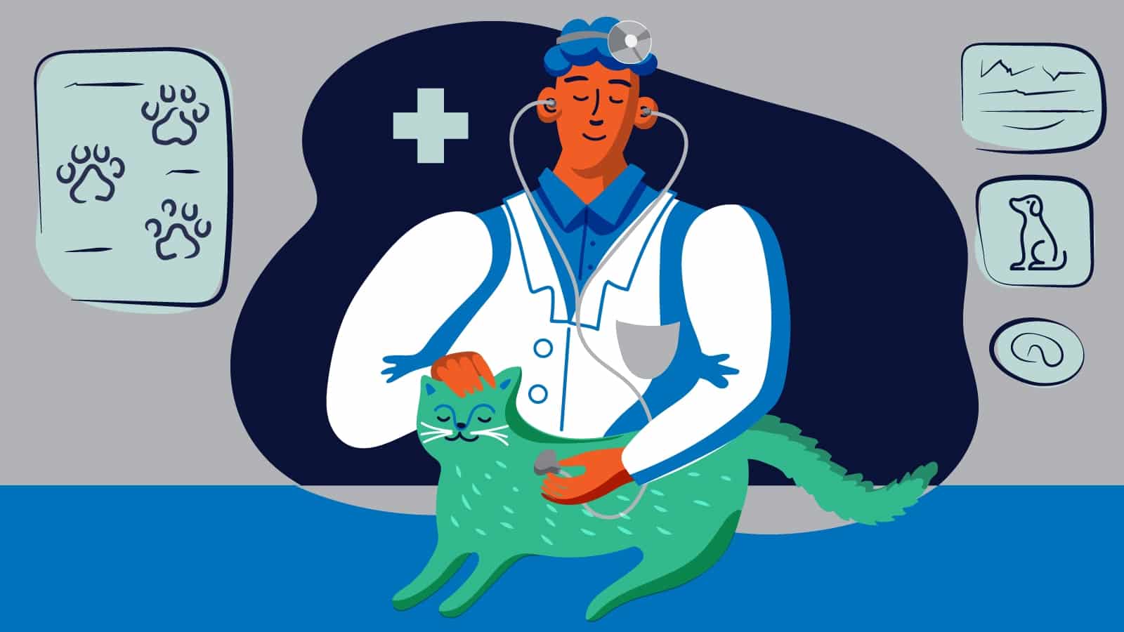 Illustration: Vet student with cat