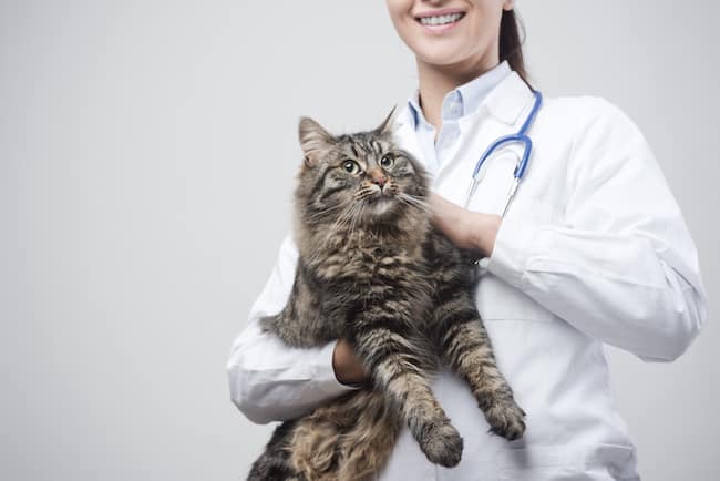 veterinary student with cat