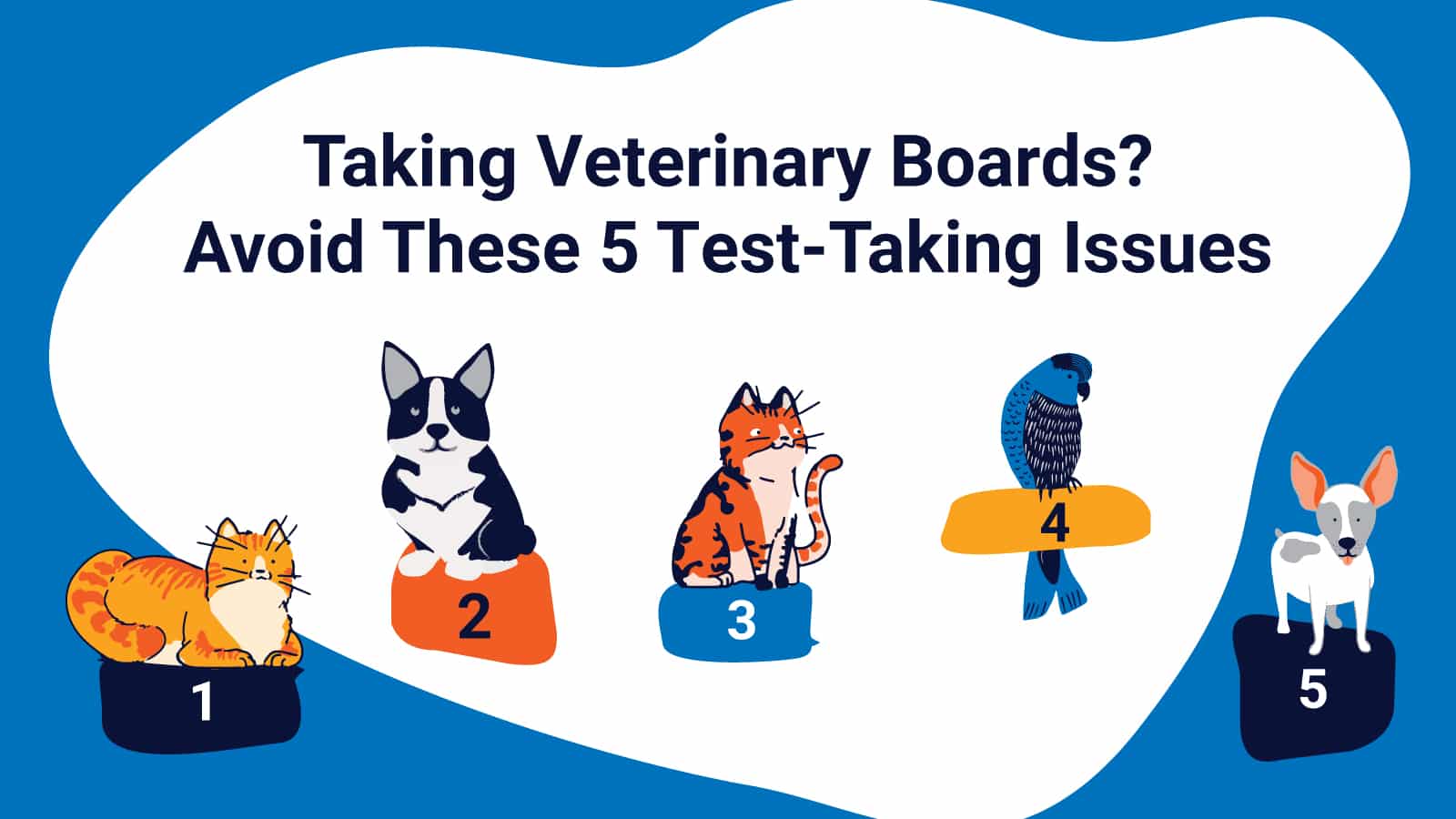 Taking Veterinary Boards? Avoid These 5 test-Taking Issues