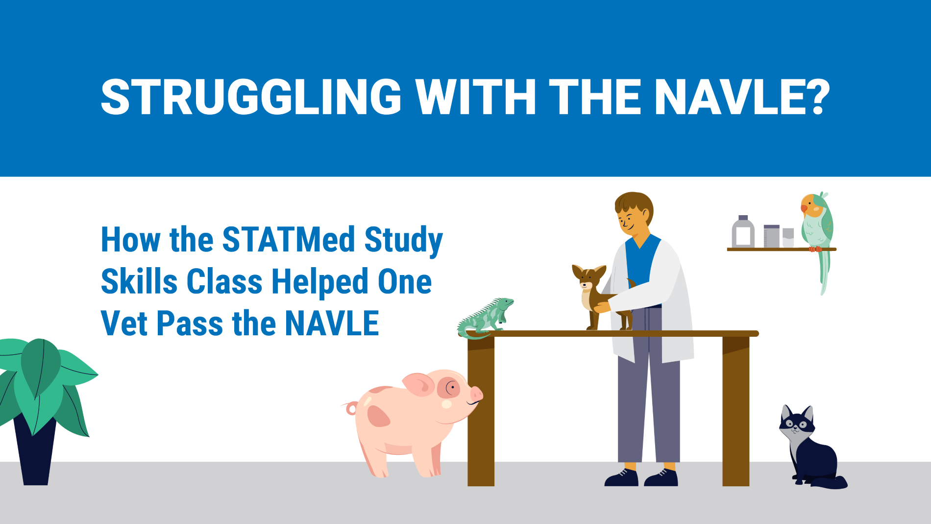 Featured image for “Struggling with the NAVLE? ”