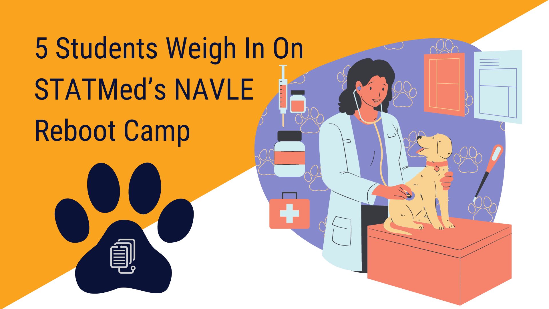 Featured image for “5 students weigh in on STATMed’s NAVLE BOOT CAMP”